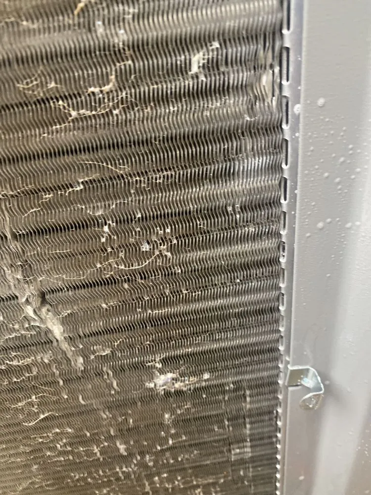 Slide of Leasing & Maintenance Sensation