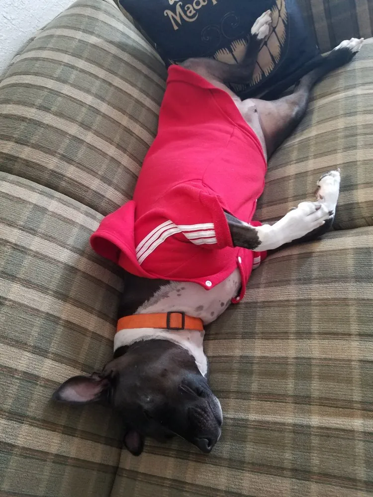 Slide of Lee Air Service