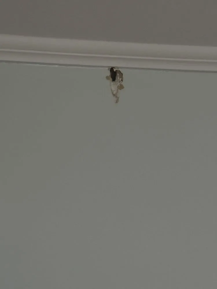 Slide of Lee Company