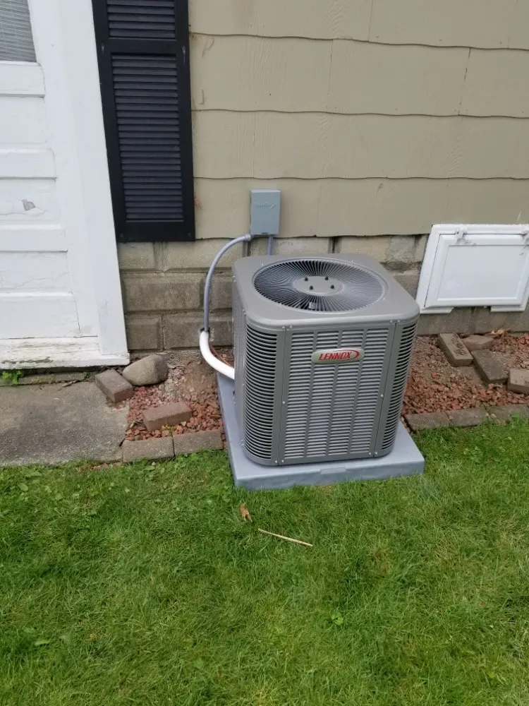 Slide of Leeka’s mechanical plus some