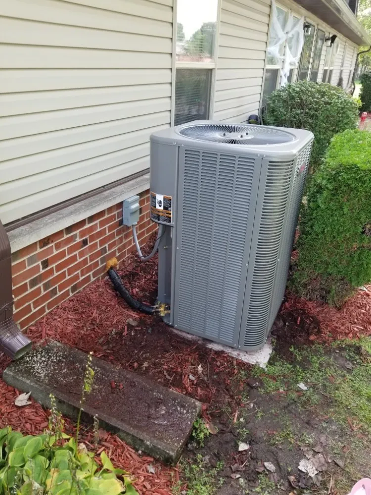 Slide of Leeka’s mechanical plus some