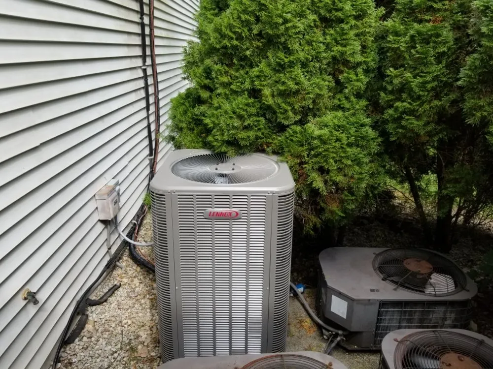 Slide of Leeka’s mechanical plus some