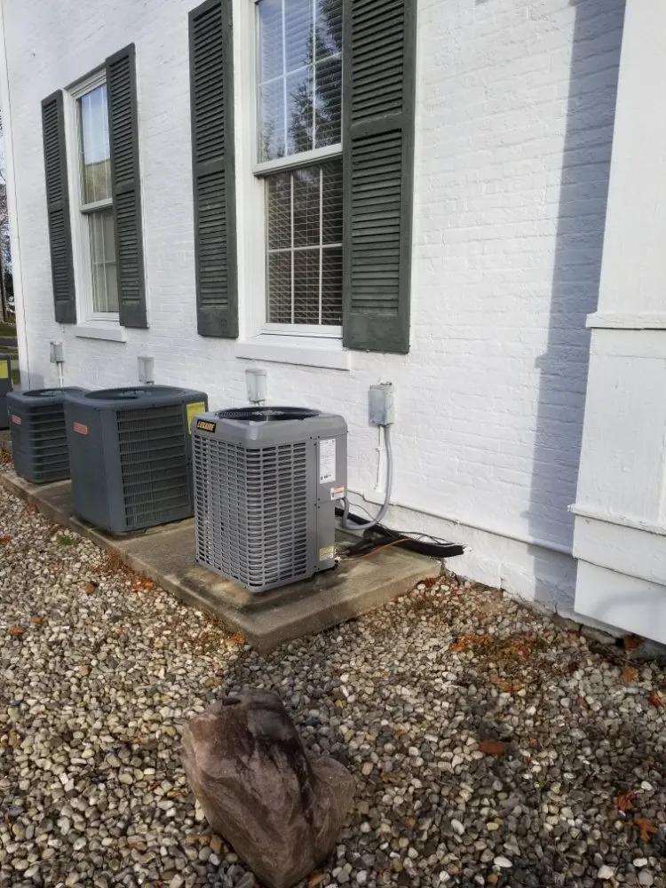 Slide of Leeka’s mechanical plus some