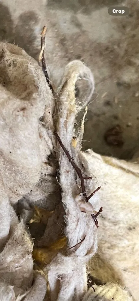 Slide of Lee's Air, Plumbing, Heating, & Roofing