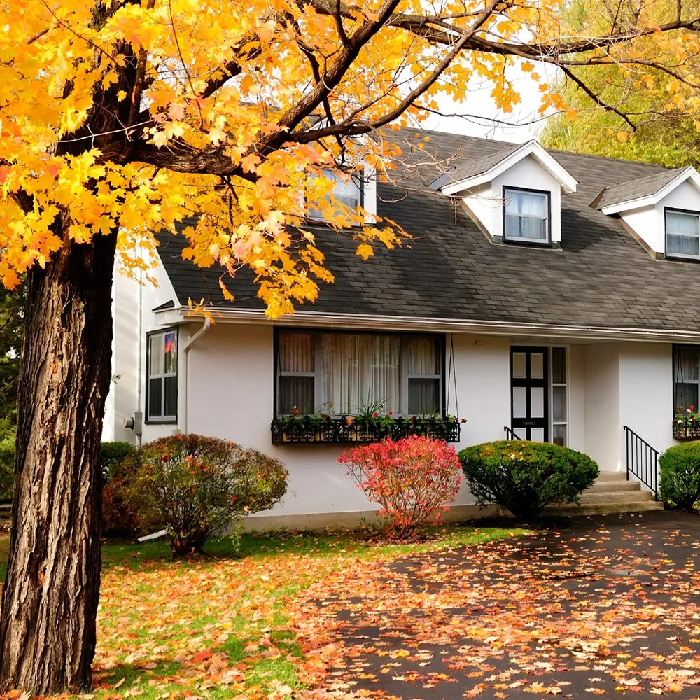 Slide of Leffler Energy