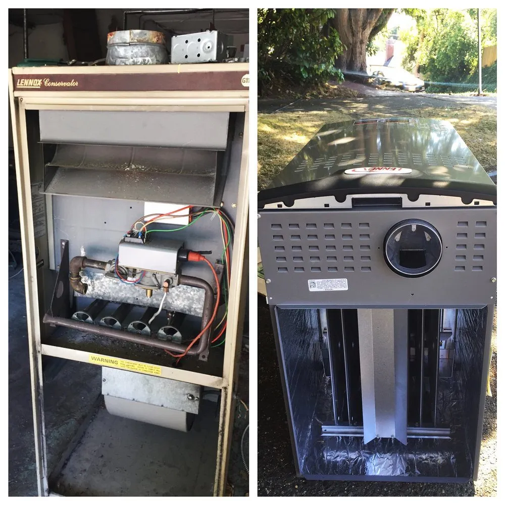 Slide of Leif Installation NY