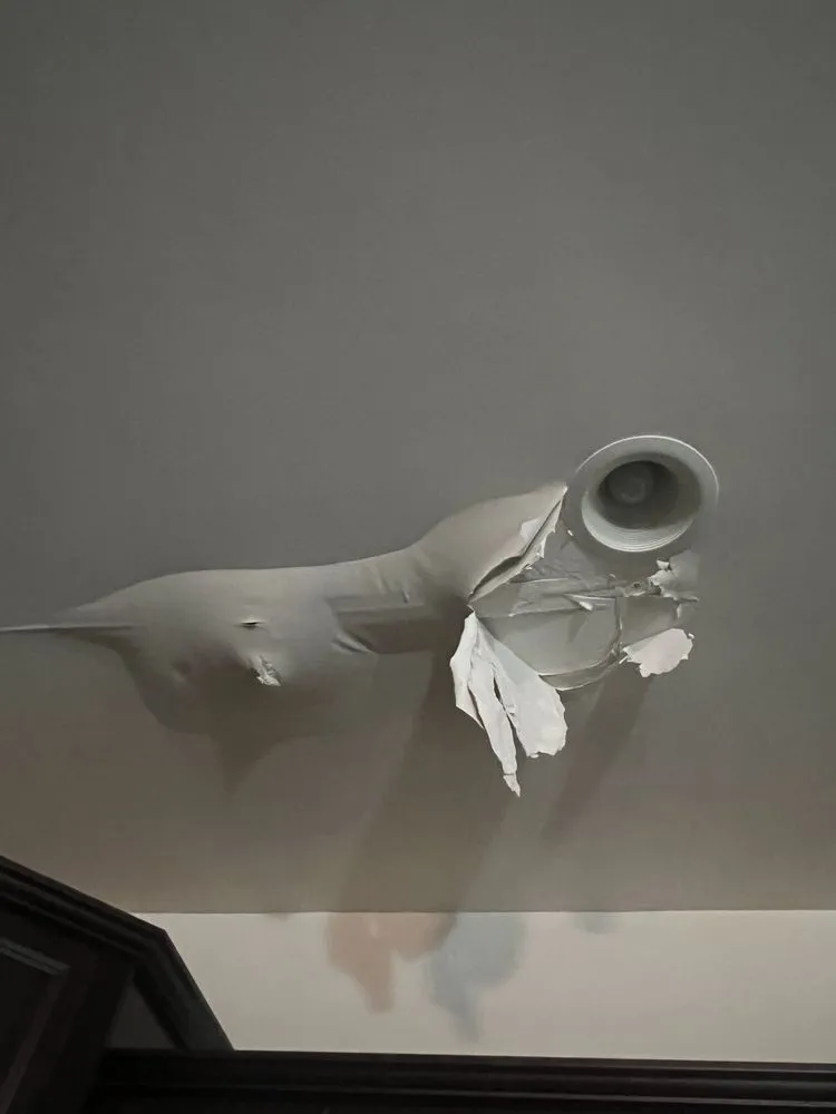 Slide of Len The Plumber