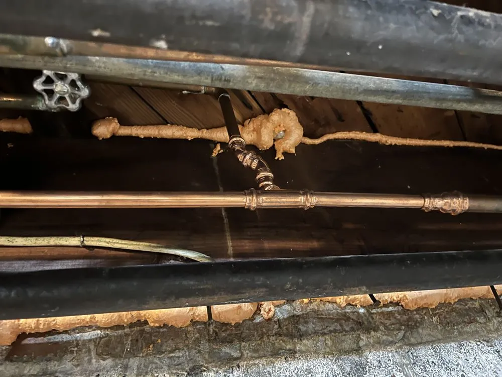 Slide of Len The Plumber