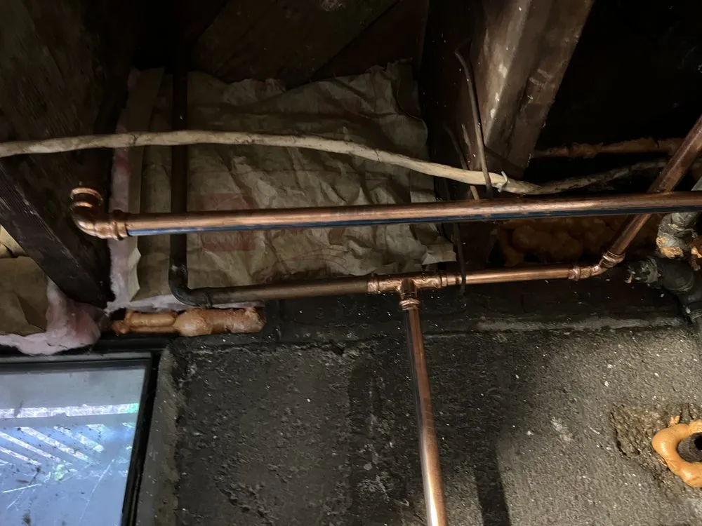 Slide of Len The Plumber