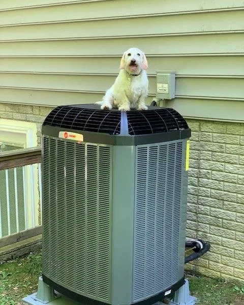 Slide of Leonard Splaine