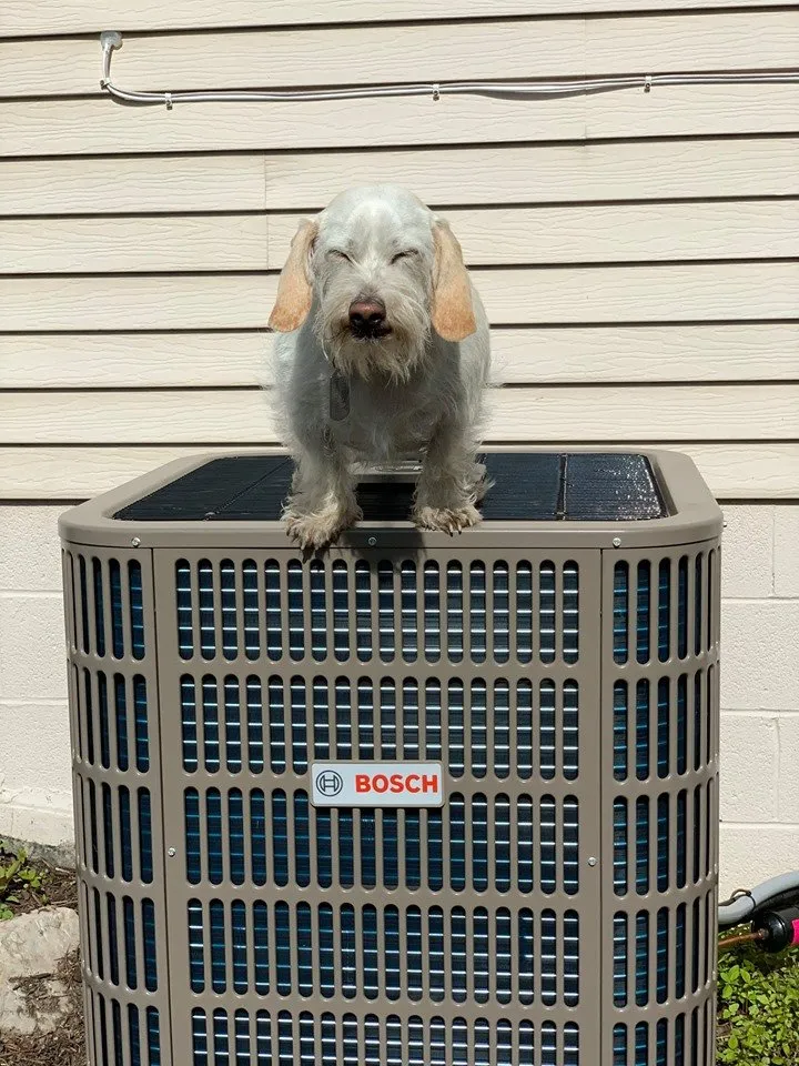 Slide of Leonard Splaine