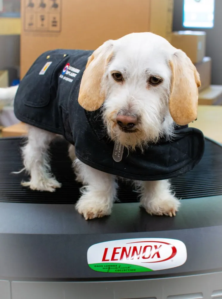 Slide of Leonard Splaine