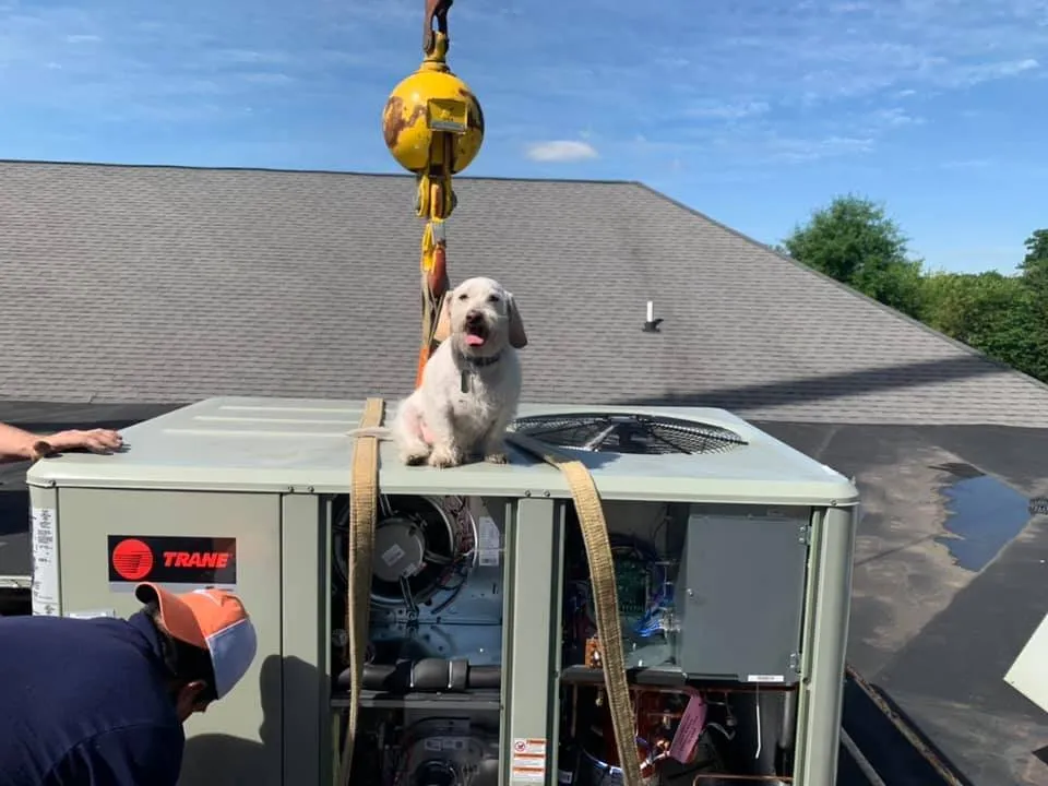 Slide of Leonard Splaine