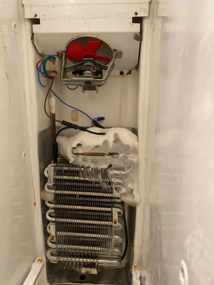 Slide of Leo's Company