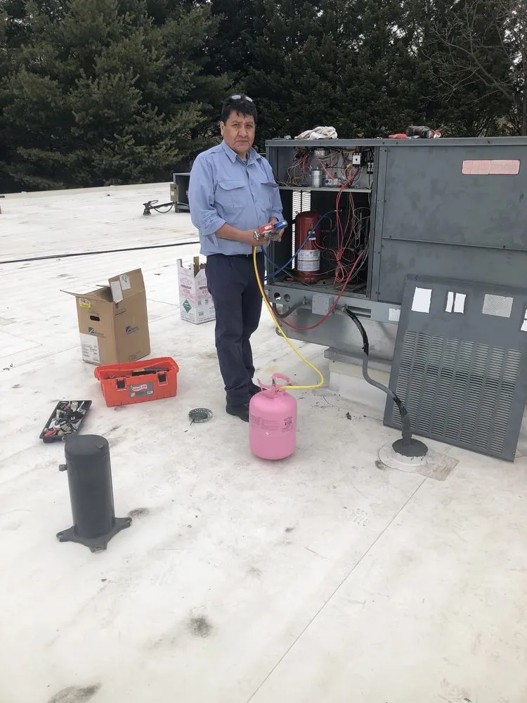 Slide of Leo's Company