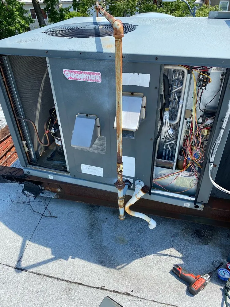 Slide of Leo's Company