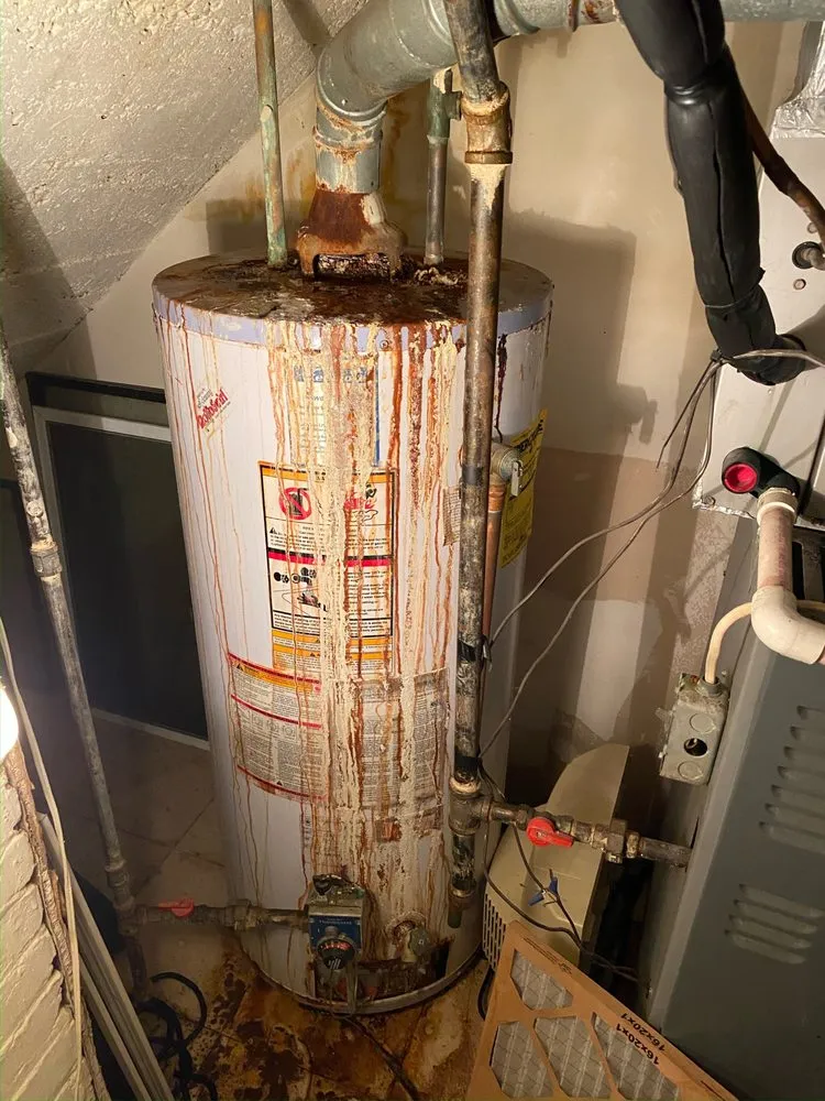 Slide of Leo's Company