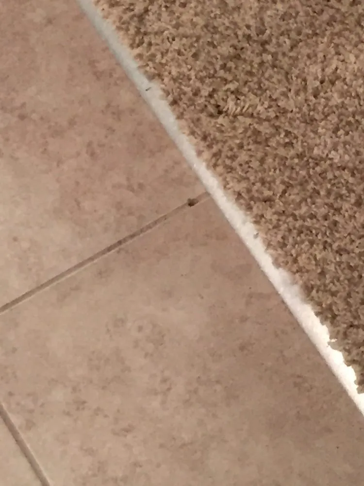 Slide of Leslie Heating Cooling Plumbing, & Electric