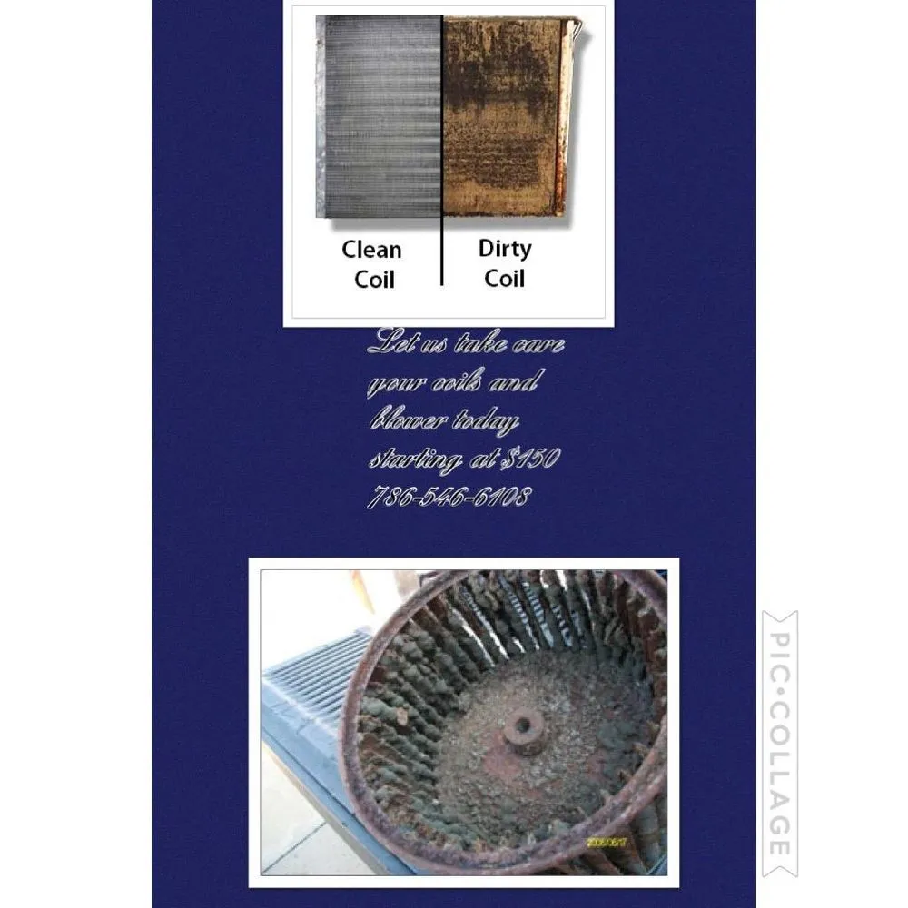 Slide of Let It Snow Florida