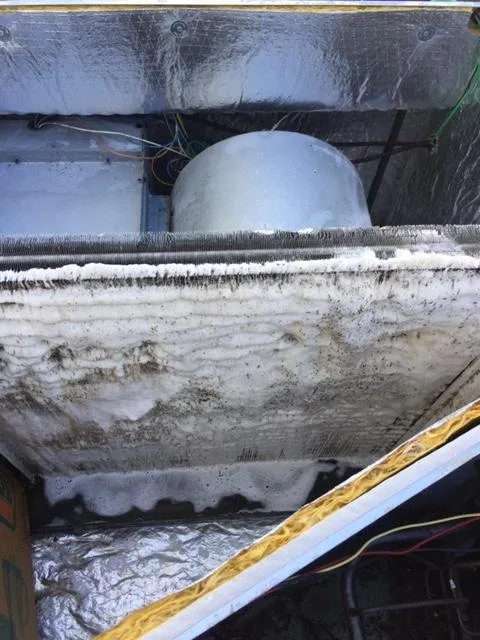 Slide of Let It Snow Florida