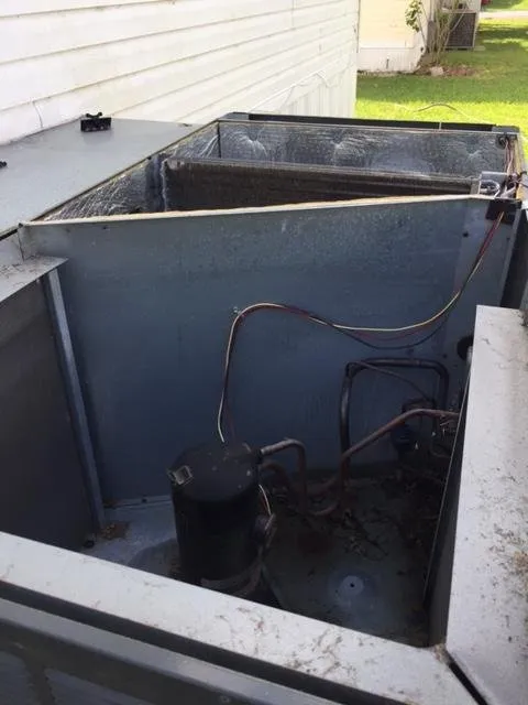 Slide of Let It Snow Florida