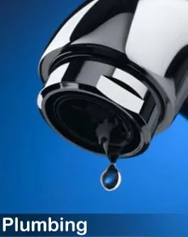 Lezgus Plumbing Heating & Cooling Logo