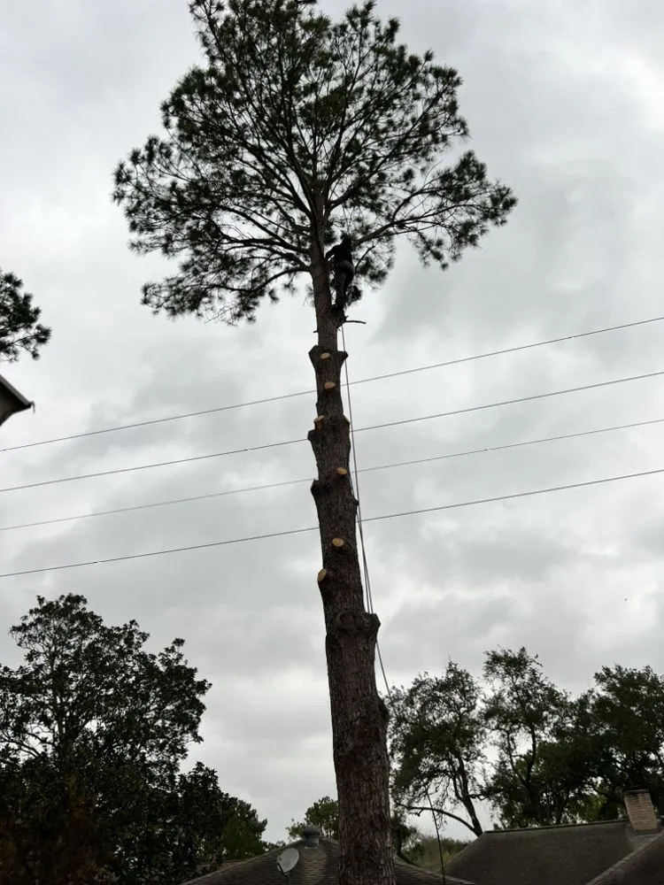 Slide of L&G landscaping