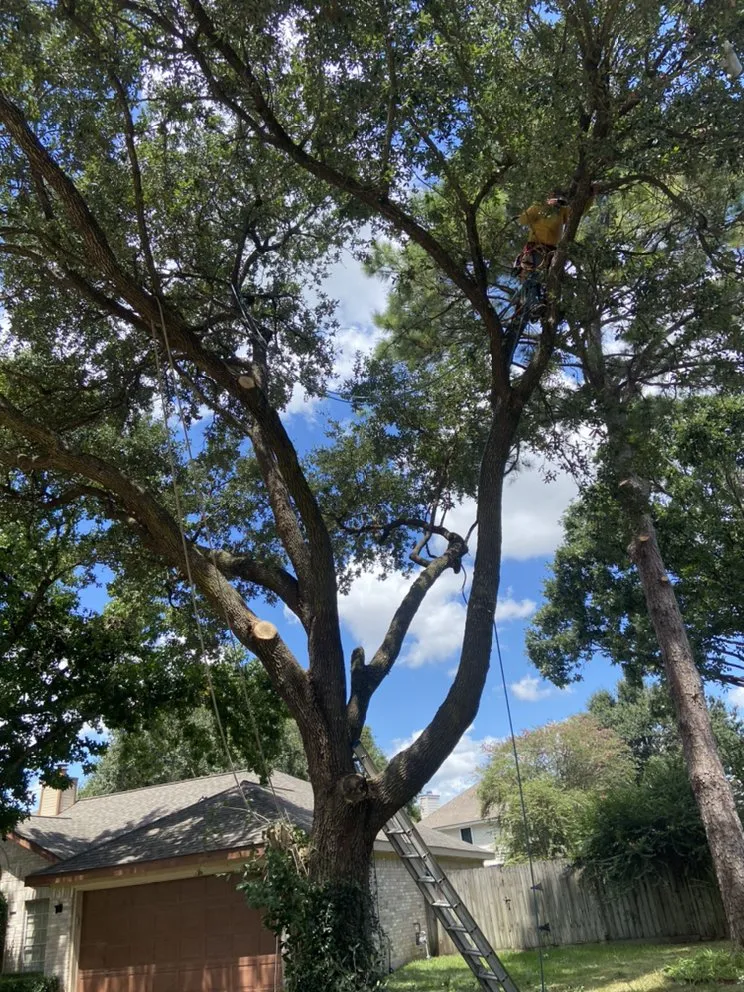 Slide of L&G landscaping