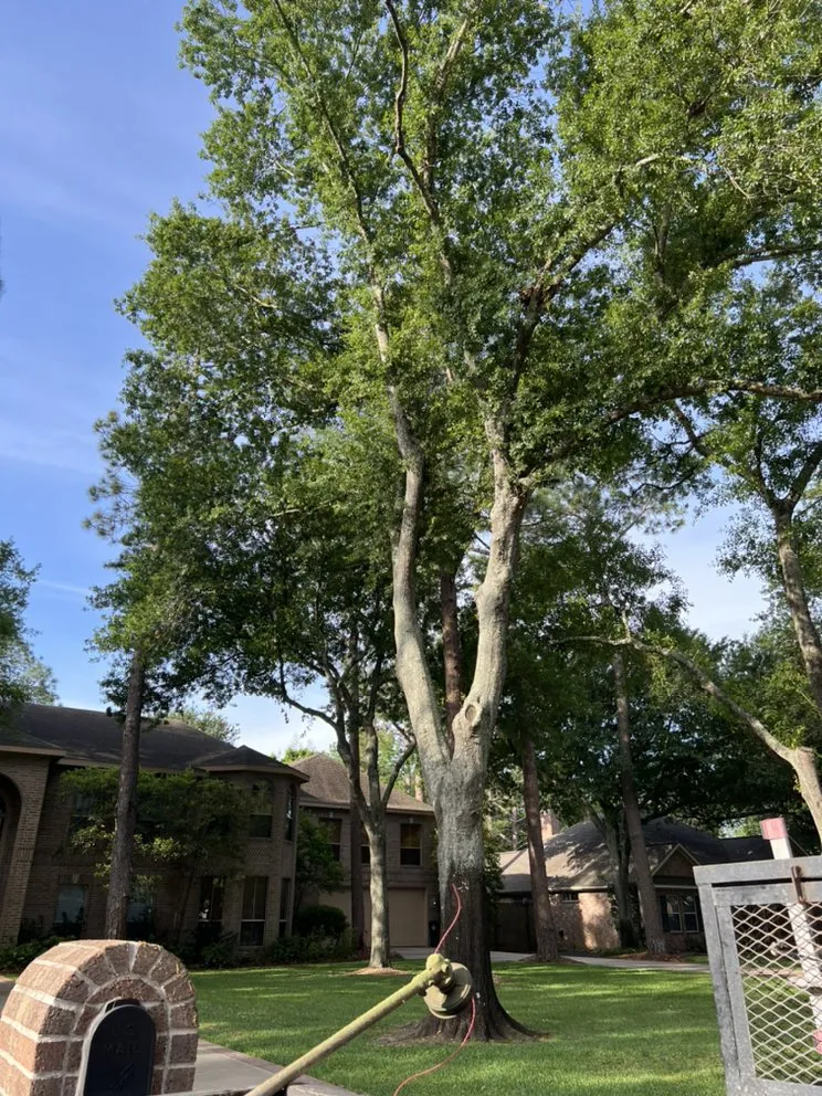 Slide of L&G landscaping