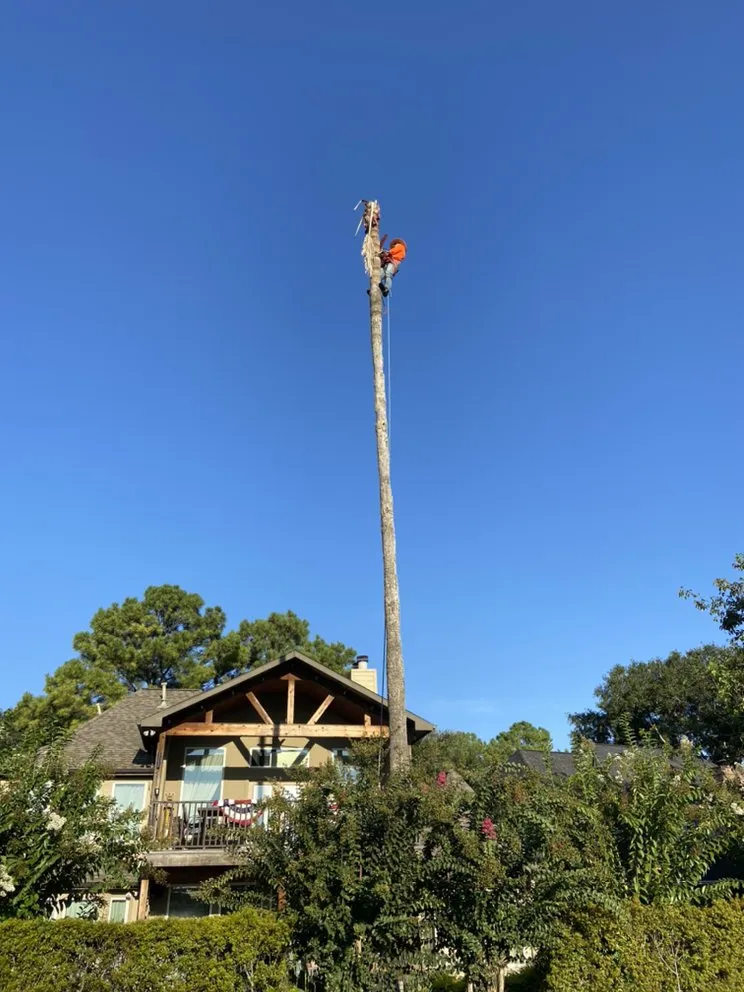 Slide of L&G landscaping