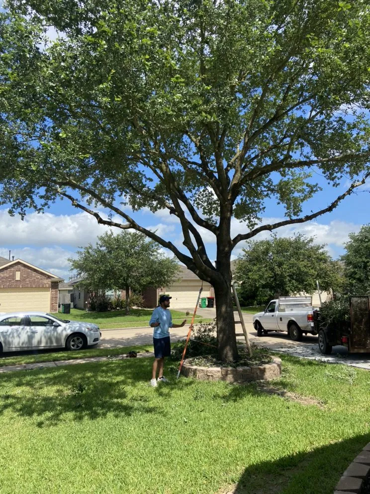 Slide of L&G landscaping