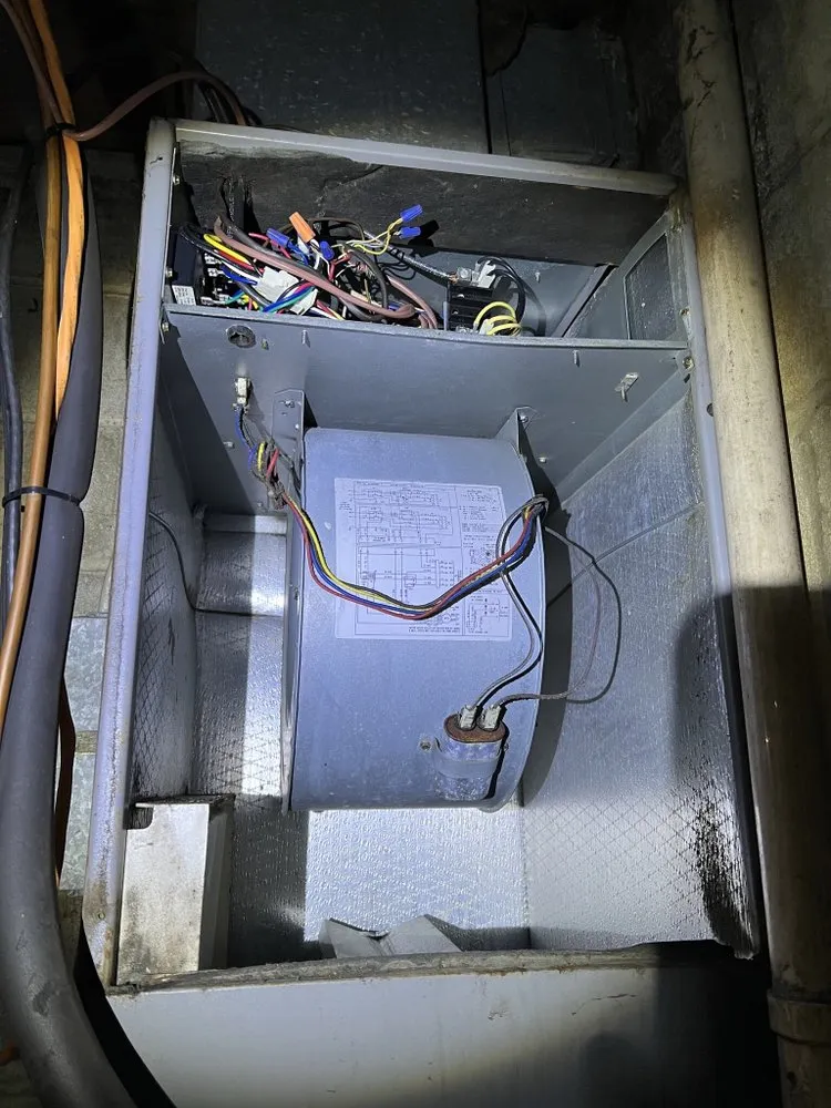 Slide of Li Multi Service