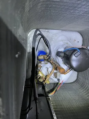 Li Multi Service Logo