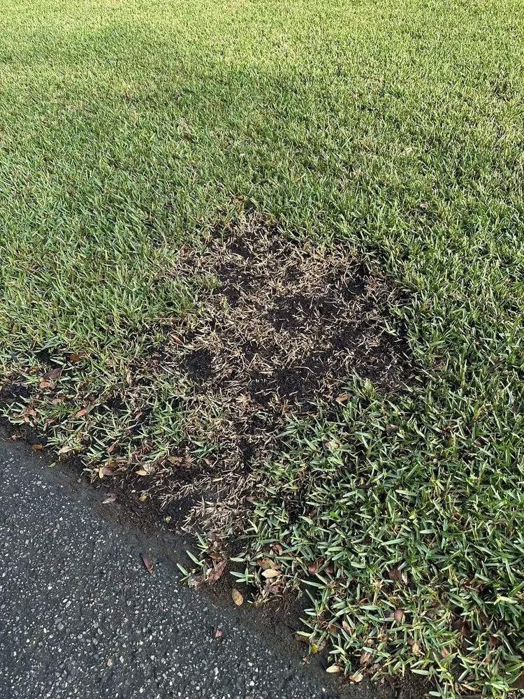 Slide of Lickety Split AC, Plumbing & Electric