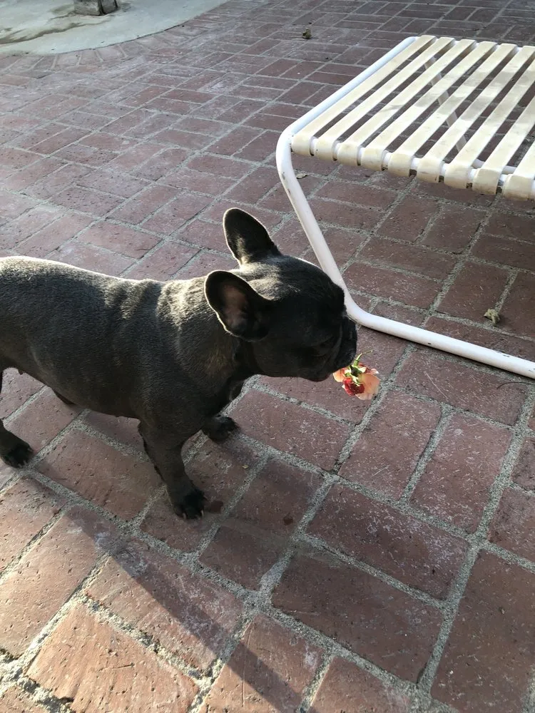 Slide of Lifetime Solutions