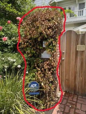 Lifetime Solutions Logo