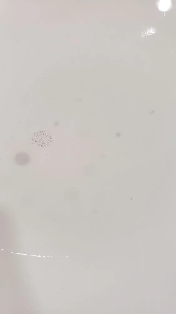 Slide of Lifetime Solutions