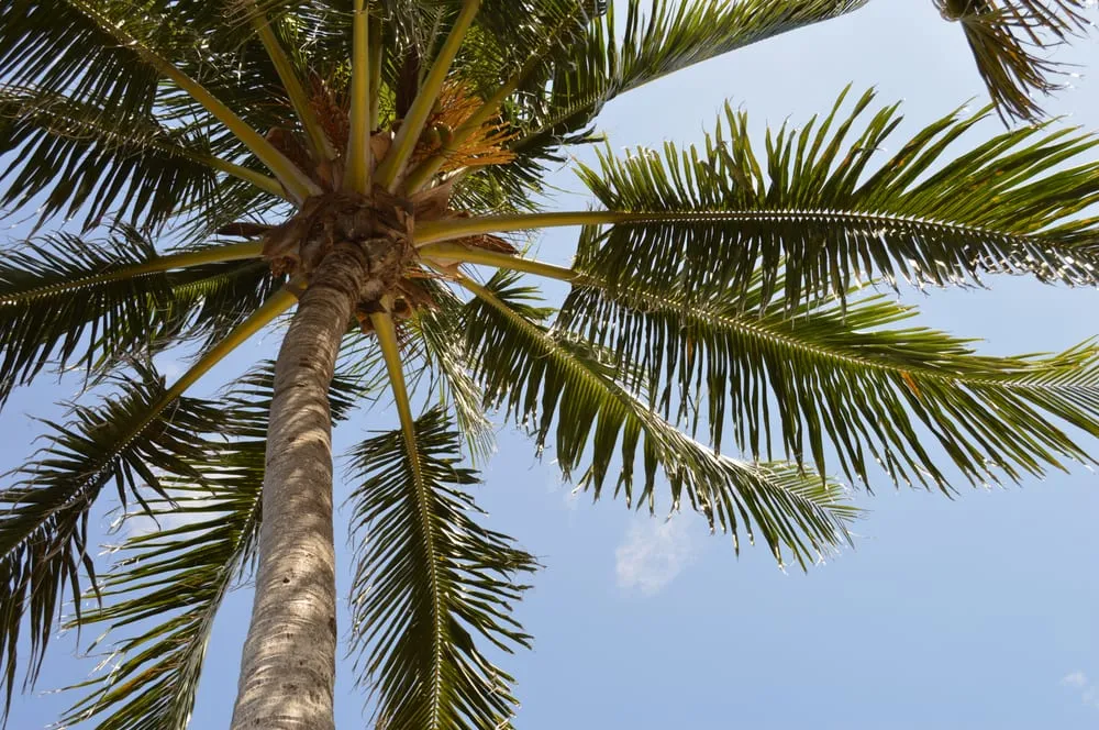 Slide of Lighthouse Air Conditioning & Refrigeration