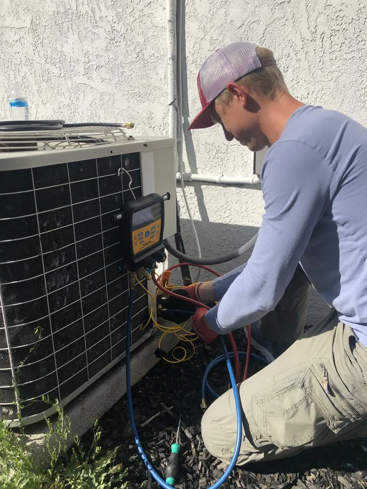 Slide of Lime & Cedar