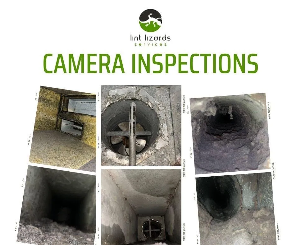 Slide of Lint Lizards Services