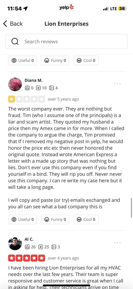 Slide of Lion Enterprises