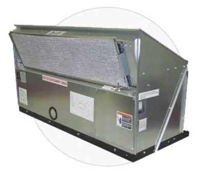 Slide of Lion Enterprises