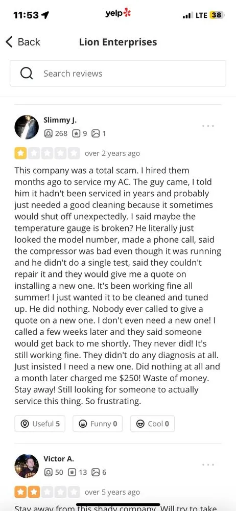 Slide of Lion Enterprises