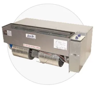 Slide of Lion Enterprises