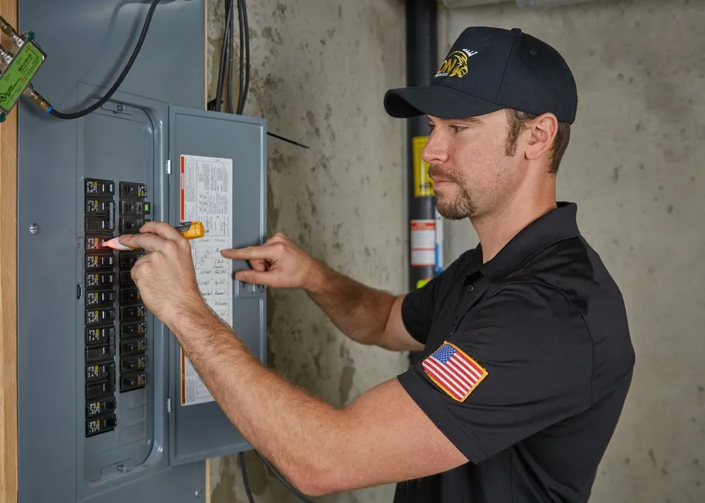 Slide of Lion Home Service