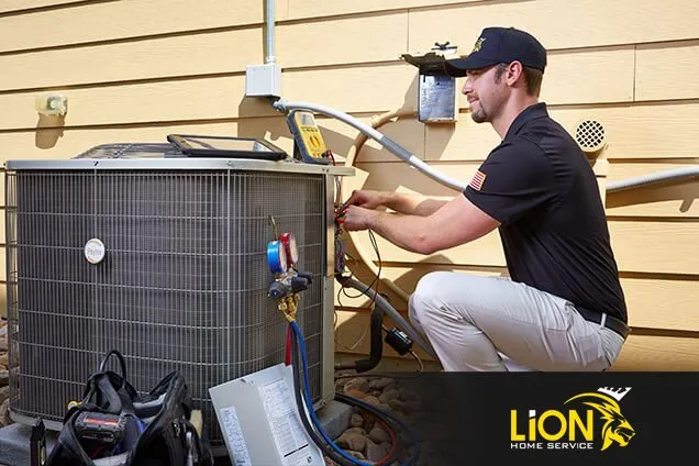 Slide of Lion Home Service