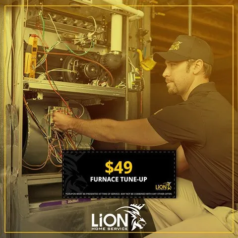 Slide of Lion Home Service