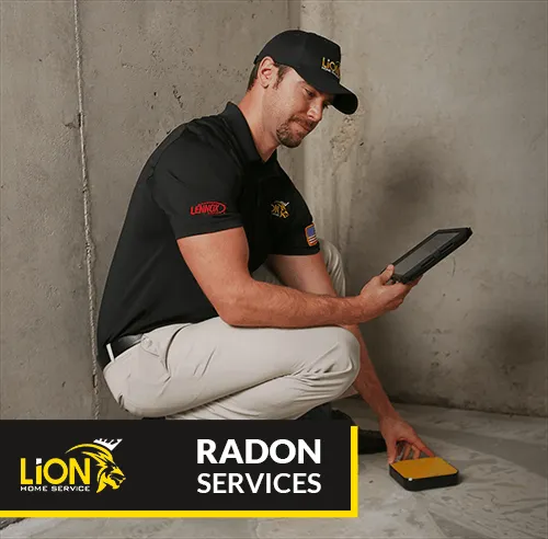 Slide of Lion Home Service