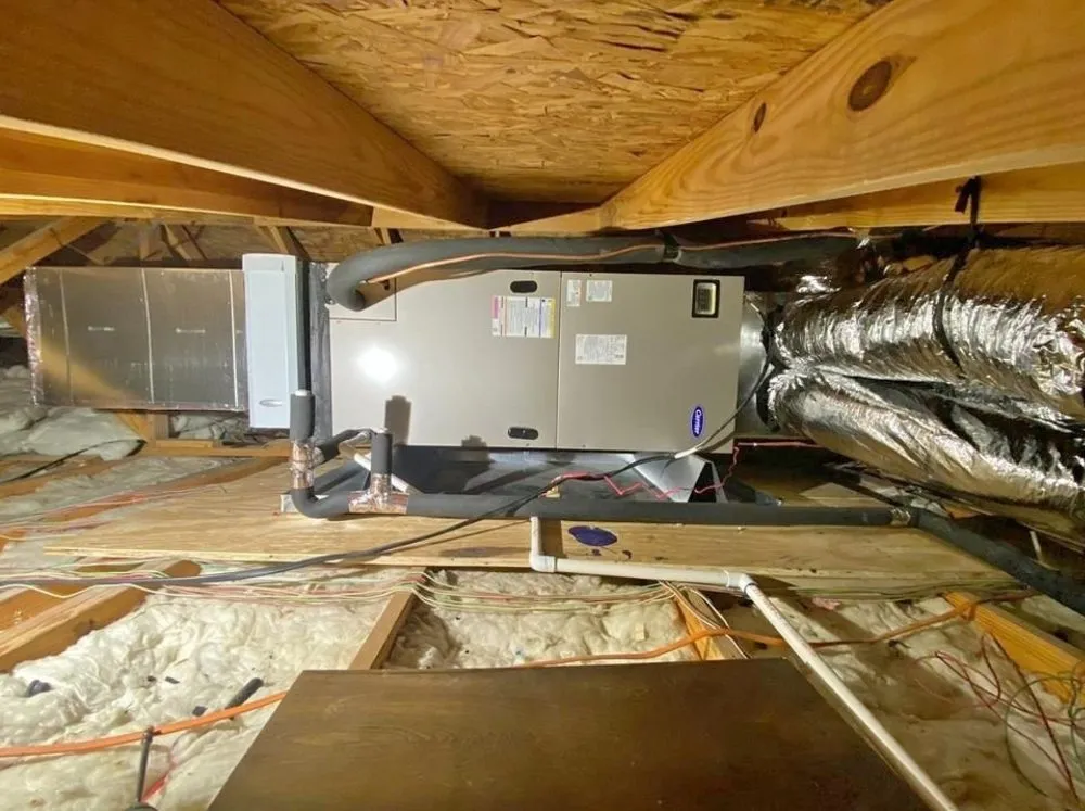 Slide of Lion King HVAC