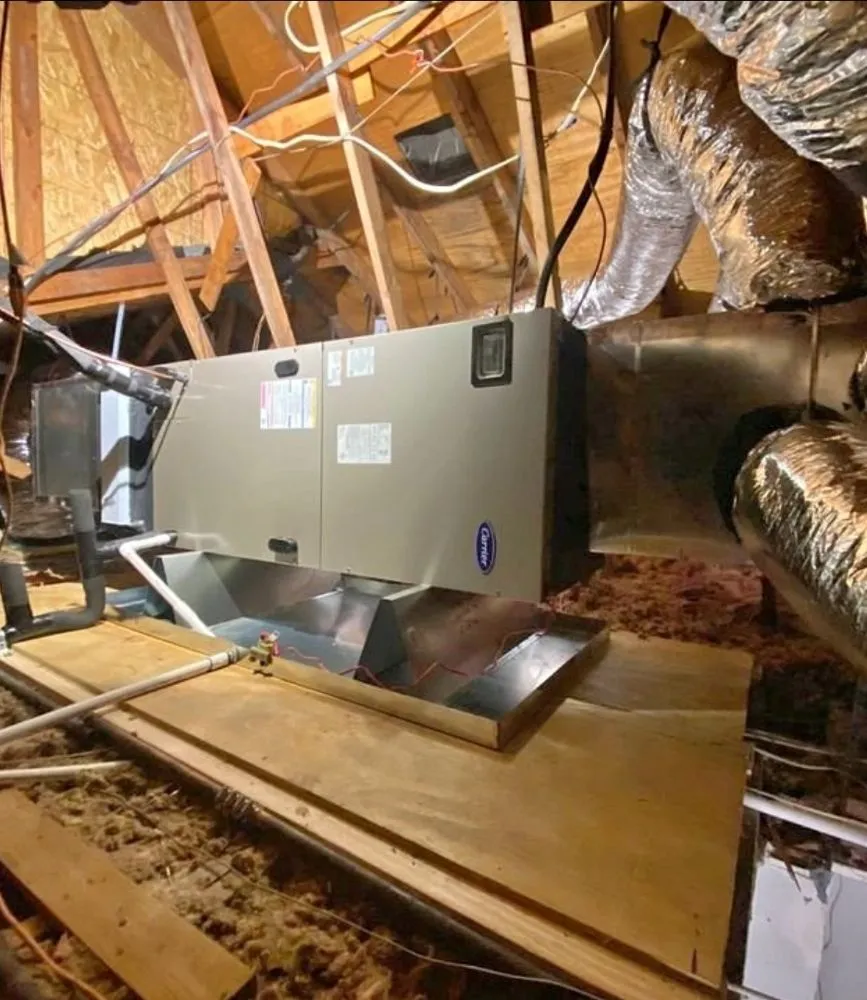 Slide of Lion King HVAC